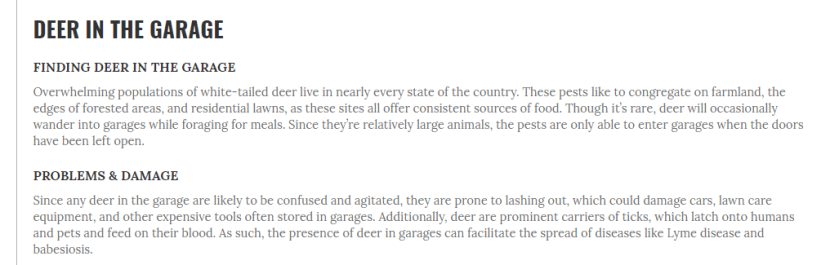 Deer in the Garage